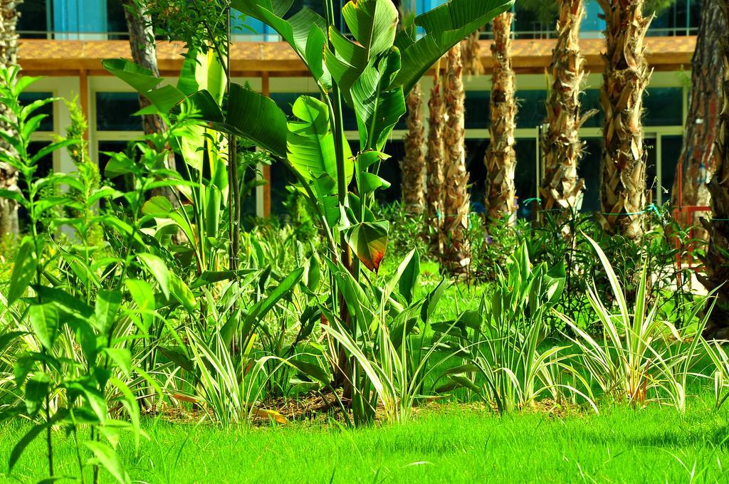 Maya World Hotel All Inclusive Side Esterno foto